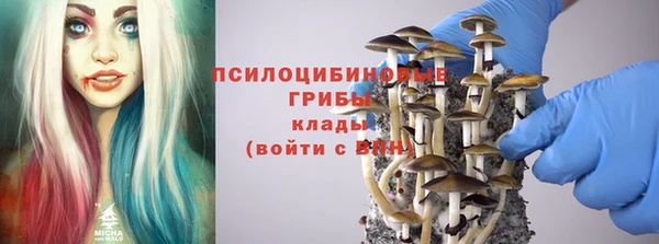 стаф Армянск