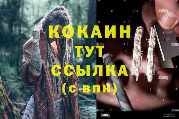 стаф Армянск