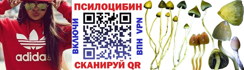 где найти   Нягань  МЕГА вход  Псилоцибиновые грибы Psilocybine cubensis 